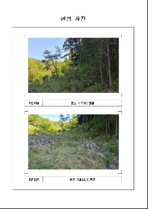 2025타경51033 목포지원 임야 법원경매 사진