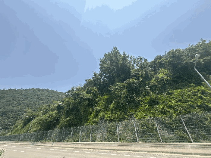 2025타경51121 경매 물건 대표 사진