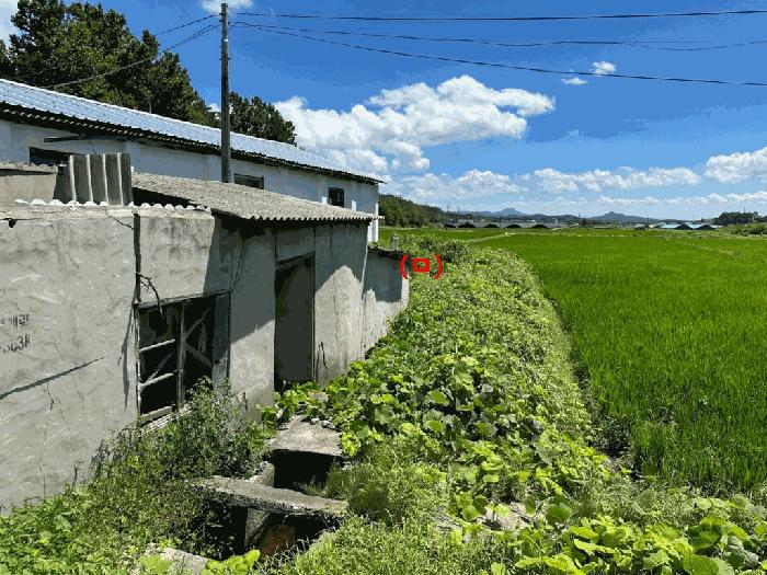 2025타경51308 경매 물건 대표 사진