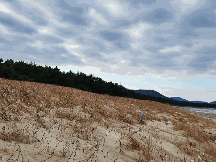 2025타경51772 경매 물건 대표 사진