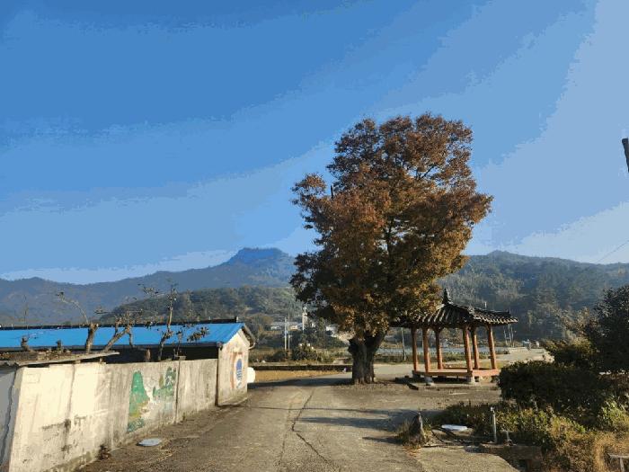 2025타경531 경매 물건 대표 사진