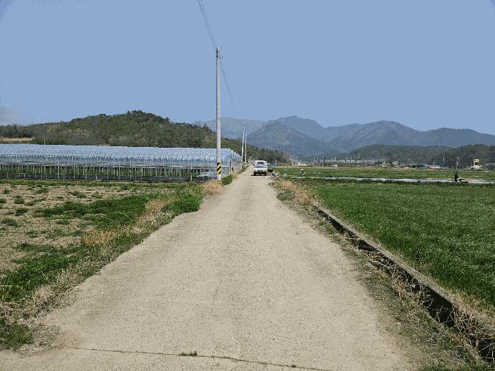 2025타경5228 장흥지원 단독주택 법원경매 사진