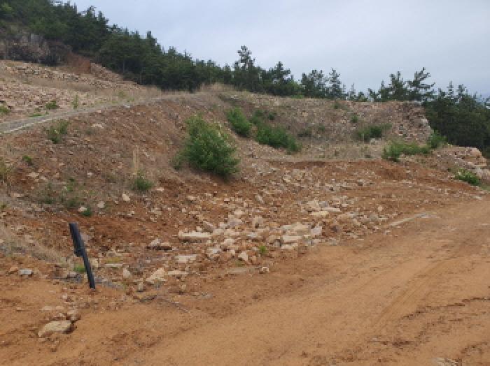 2025타경5240 장흥지원 대지 법원경매 사진