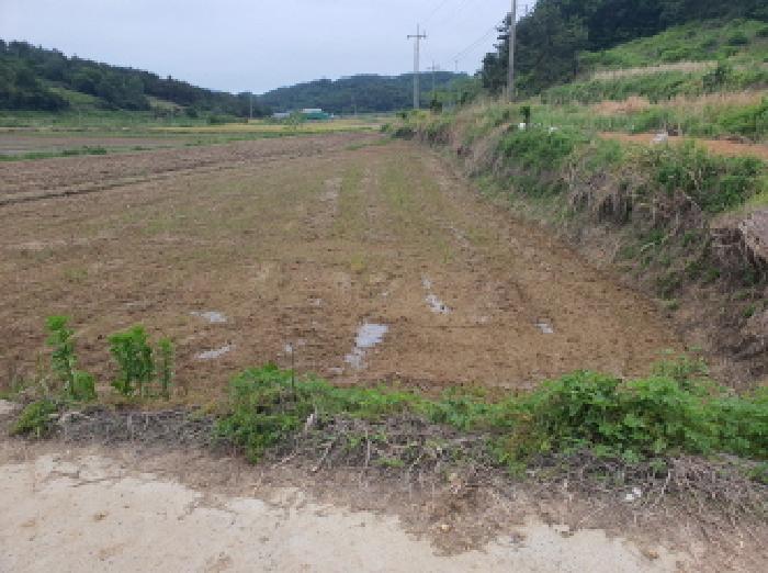 2025타경5258 경매 물건 대표 사진