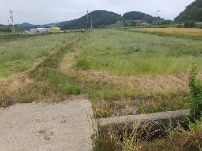 2025타경5258 장흥지원 전답 법원경매 사진