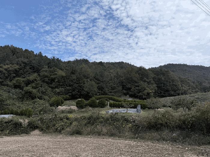 2025타경5337 장흥지원 임야 법원경매 사진