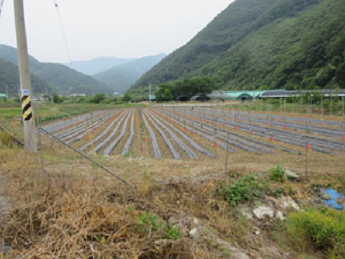 2025타경5339 장흥지원 아파트 법원경매 사진