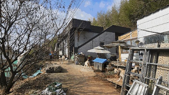 2025타경5367 경매 물건 대표 사진