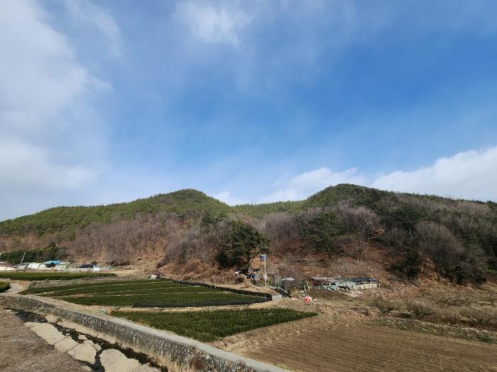 2024타경50094 경매 물건 대표 사진