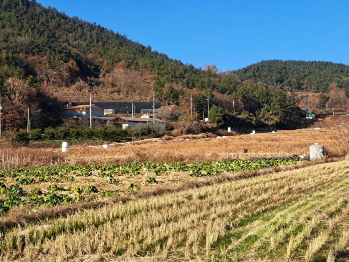 2024타경5278 경매 물건 대표 사진