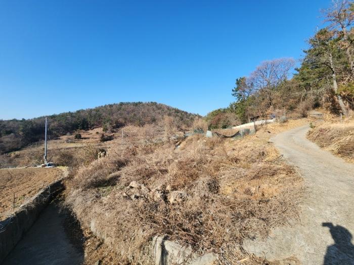 2024타경5520 경매 물건 대표 사진