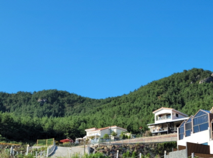 2024타경58739 경매 물건 대표 사진