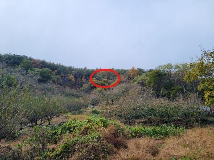 2024타경61735 경매 물건 대표 사진