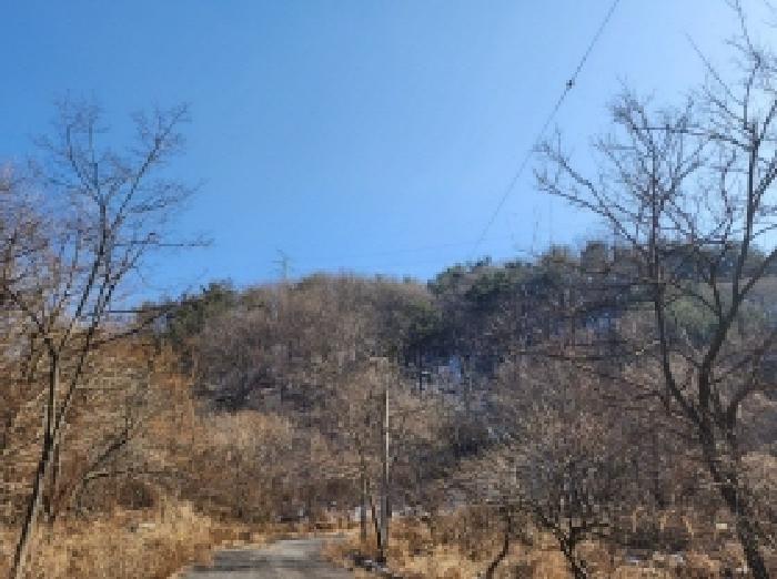 2025타경287 경매 물건 대표 사진