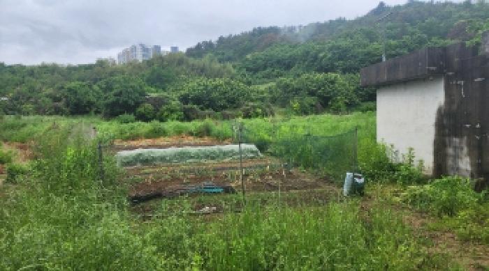 2025타경440 경매 물건 대표 사진