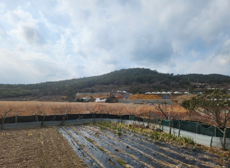 2025타경50794 경매 물건 대표 사진