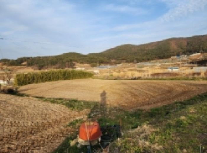 2025타경51156 경매 물건 대표 사진