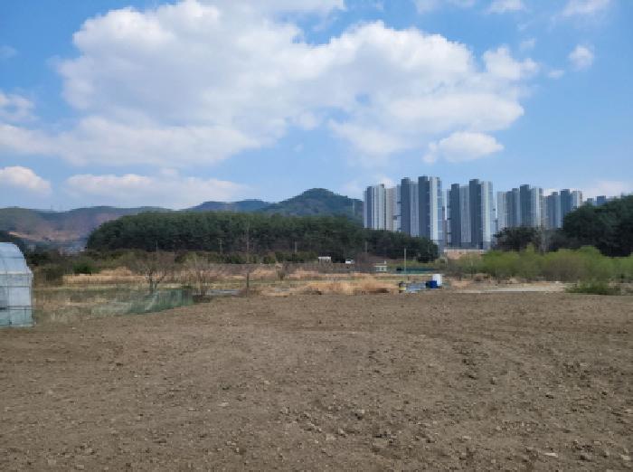 2025타경51243 경매 물건 대표 사진