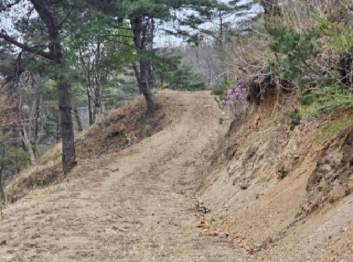 2025타경51263 경매 물건 대표 사진
