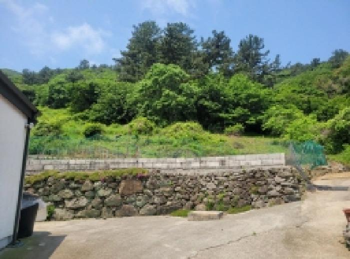 2025타경51392 순천지원 근린시설 법원경매 사진