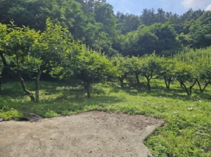 2025타경51450 경매 물건 대표 사진