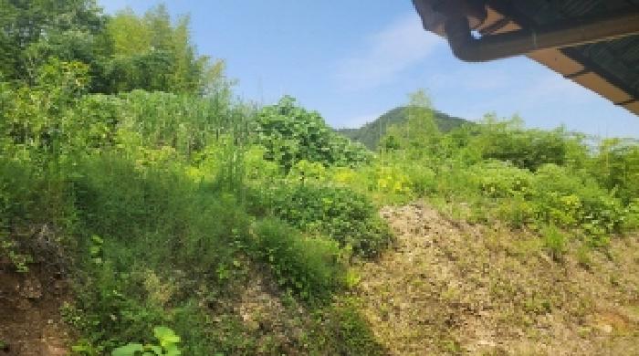 2025타경51496 경매 물건 대표 사진