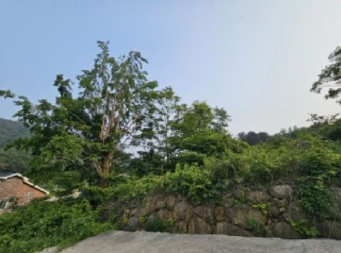 2025타경51537 경매 물건 대표 사진