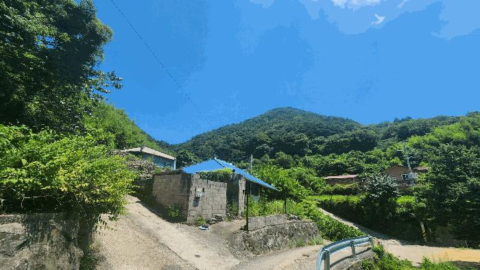 2025타경51796 경매 물건 대표 사진