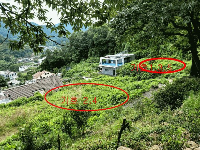 2025타경51869 경매 물건 대표 사진
