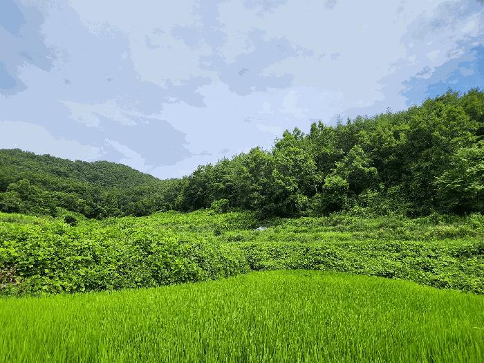 2025타경51889 순천지원 대지 법원경매 사진