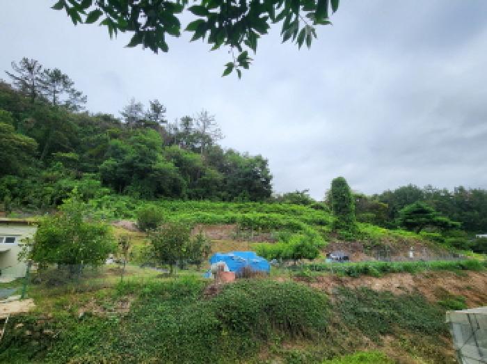 2025타경51957 경매 물건 대표 사진