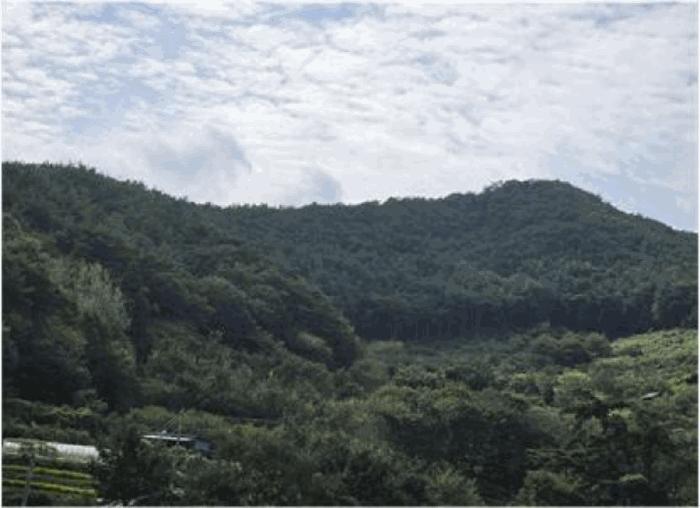 2025타경52096 경매 물건 대표 사진