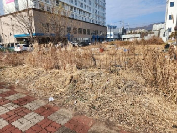 2025타경52402 경매 물건 대표 사진