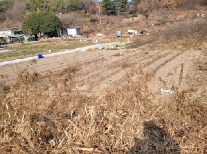 2025타경52435 경매 물건 대표 사진
