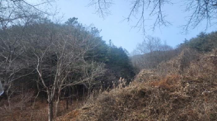 2025타경52543 순천지원 임야 법원경매 사진