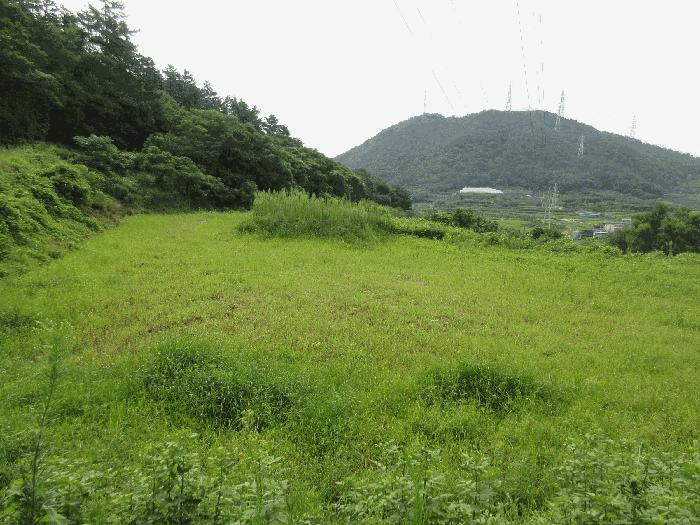 2025타경554 경매 물건 대표 사진