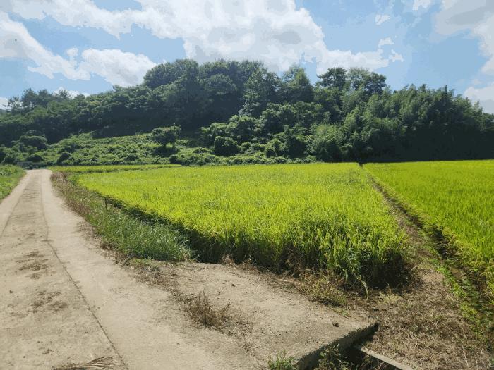 2025타경611 경매 물건 대표 사진