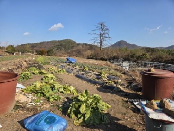 2025타경737 경매 물건 대표 사진
