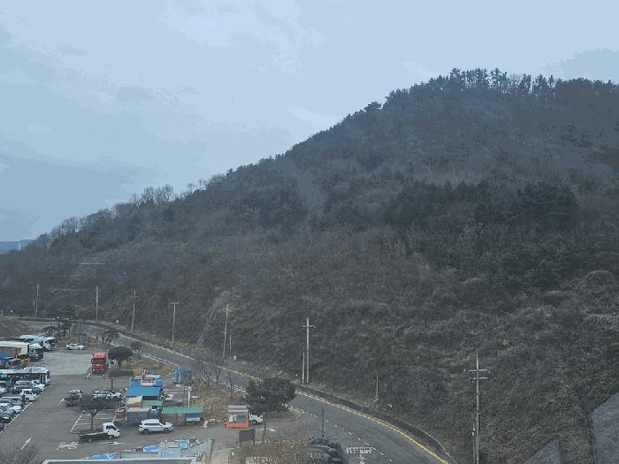 2026타경50186 경매 물건 대표 사진