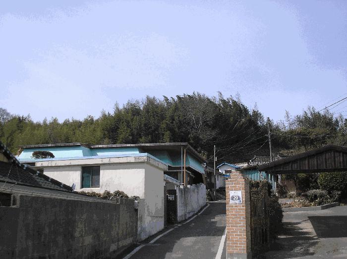 2026타경50209 경매 물건 대표 사진