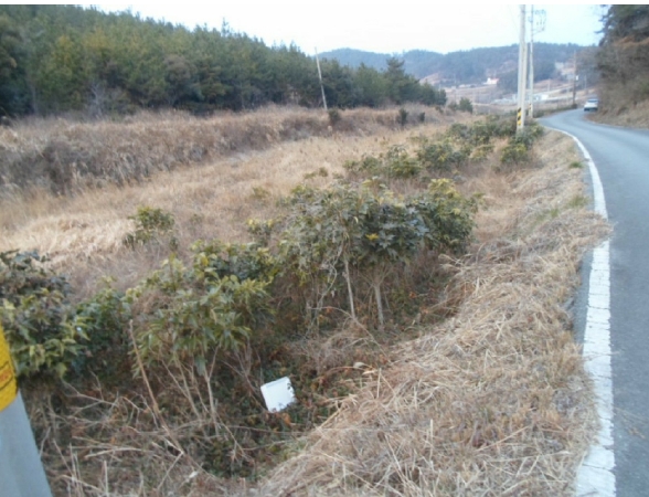 2025타경50209 해남지원 답 법원경매 사진