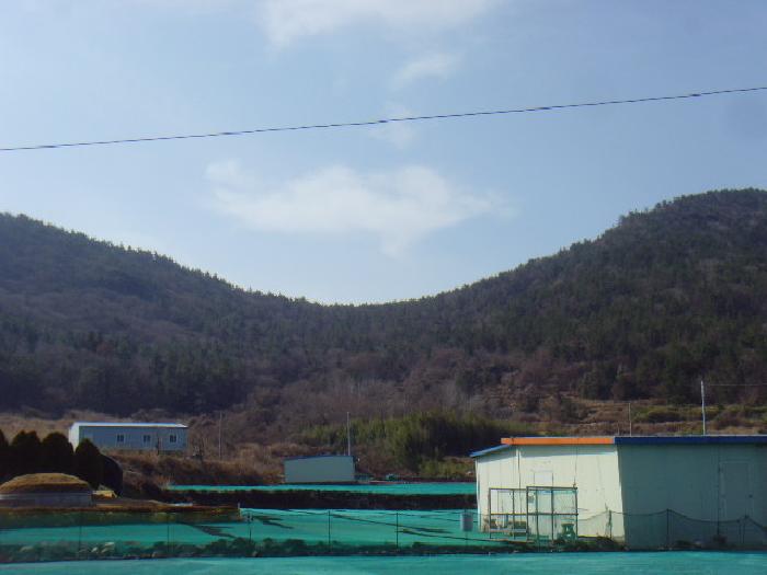 2025타경50355 경매 물건 대표 사진