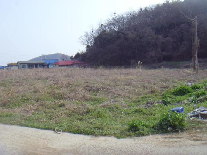 2025타경50382 경매 물건 대표 사진