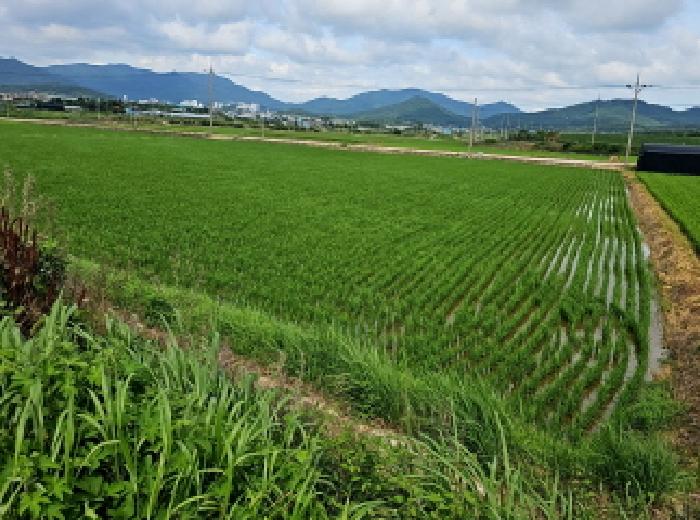 2025타경50508 해남지원 답 법원경매 사진