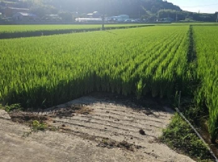 2025타경50578 경매 물건 대표 사진