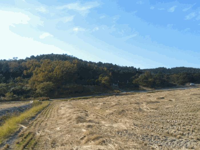 2025타경50690 경매 물건 대표 사진