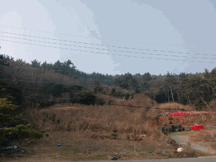 2025타경50766 경매 물건 대표 사진