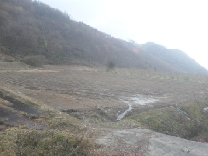 2025타경1041 경매 물건 대표 사진