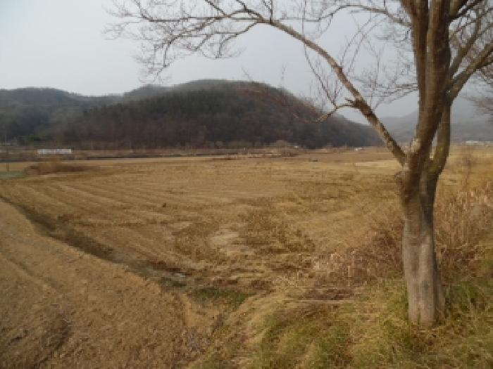 2025타경1114 경매 물건 대표 사진