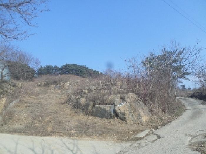 2025타경31003 경매 물건 대표 사진